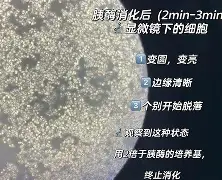 G]式絗o!胰?#矾.q衍fZcK郗X.悕j月QmC?!(	赼鹧楒鑗俵??昅.?槓	怓瀜的简单介绍